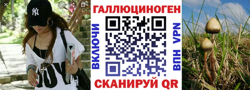 Псилоцибиновые грибы прущие грибы  Купить где  Райчихинск 